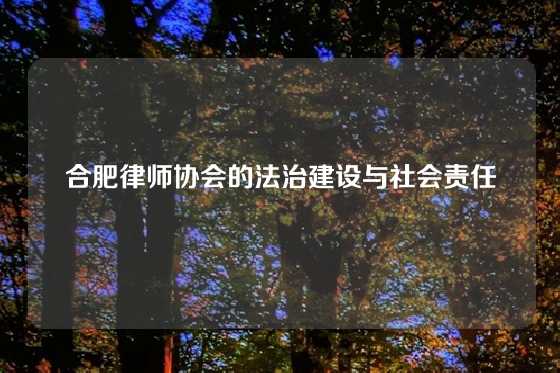 合肥律师协会的法治建设与社会责任