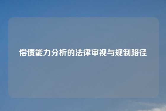 偿债能力分析的法律审视与规制路径