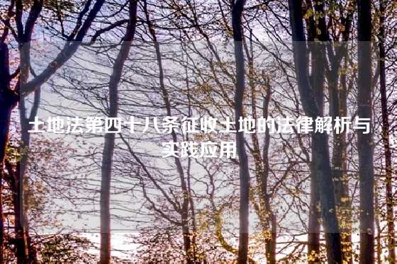 土地法第四十八条征收土地的法律解析与实践应用