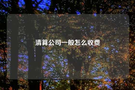 清算公司一般怎么收费