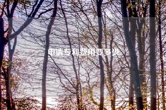 申请专利费用要多少