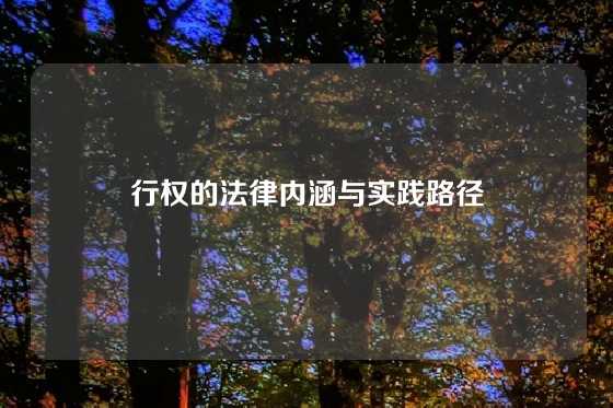 行权的法律内涵与实践路径