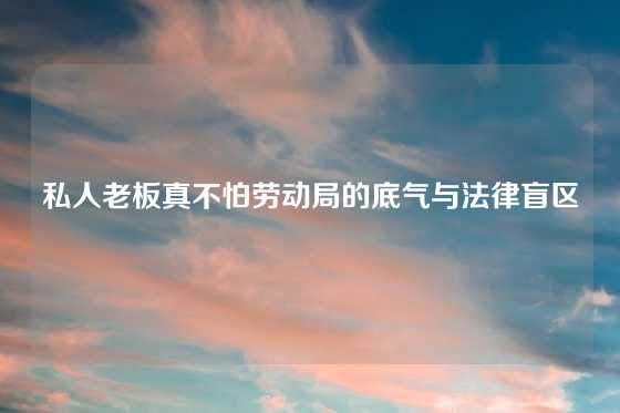 私人老板真不怕劳动局的底气与法律盲区