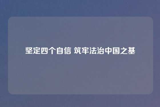 坚定四个自信 筑牢法治中国之基