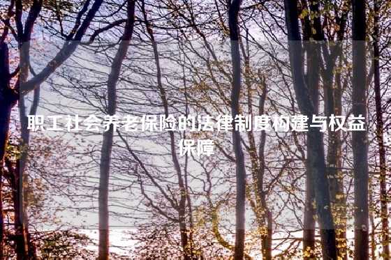 职工社会养老保险的法律制度构建与权益保障