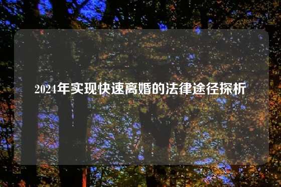 2024年实现快速离婚的法律途径探析