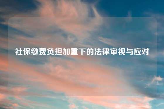 社保缴费负担加重下的法律审视与应对