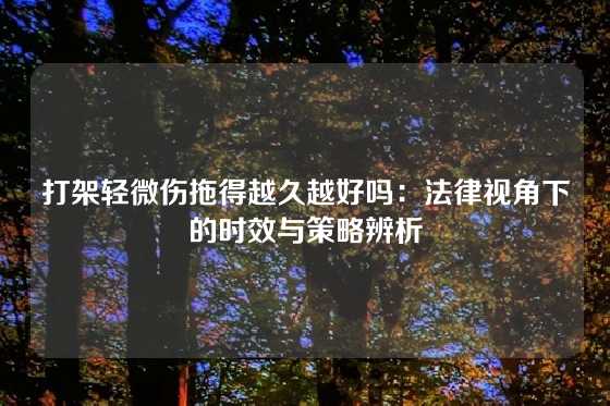 打架轻微伤拖得越久越好吗：法律视角下的时效与策略辨析