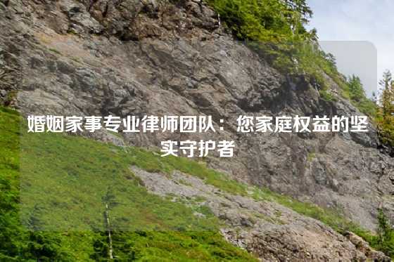 婚姻家事专业律师团队：您家庭权益的坚实守护者