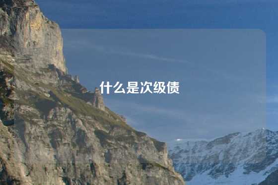 什么是次级债