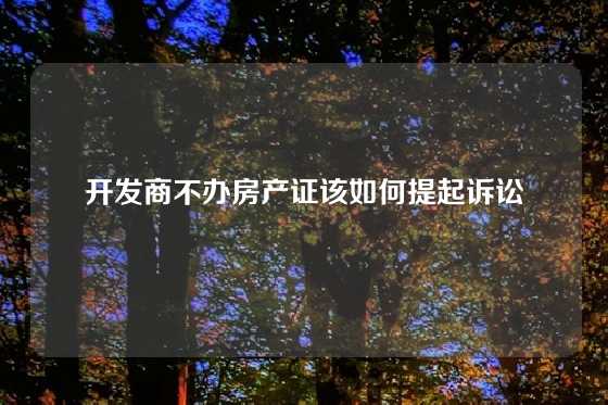 开发商不办房产证该如何提起诉讼