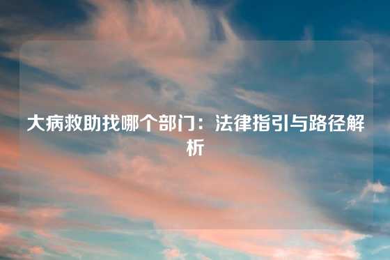 大病救助找哪个部门：法律指引与路径解析