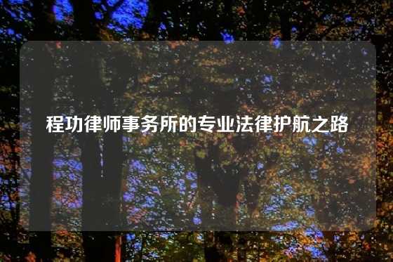程功律师事务所的专业法律护航之路