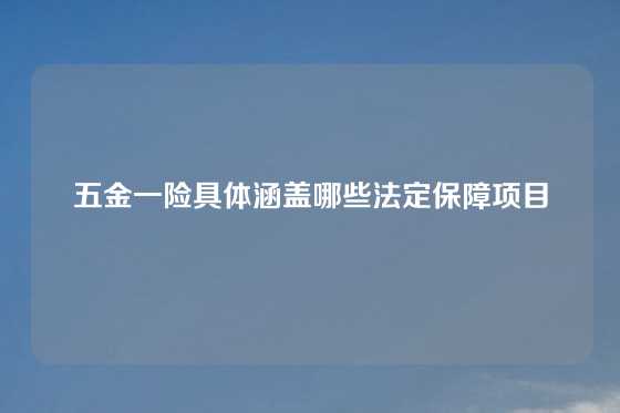 五金一险具体涵盖哪些法定保障项目