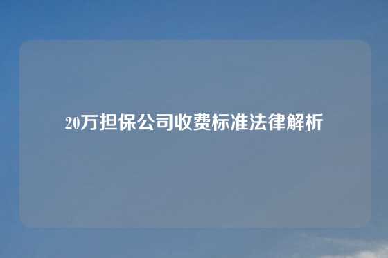 20万担保公司收费标准法律解析