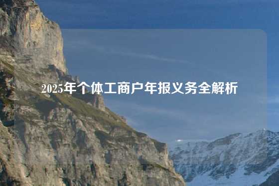 2025年个体工商户年报义务全解析