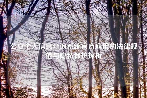公安个人信息查询系统官方应用的法律规范与隐私保护探析