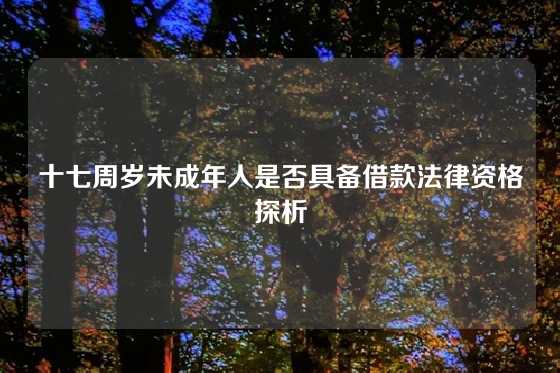 十七周岁未成年人是否具备借款法律资格探析