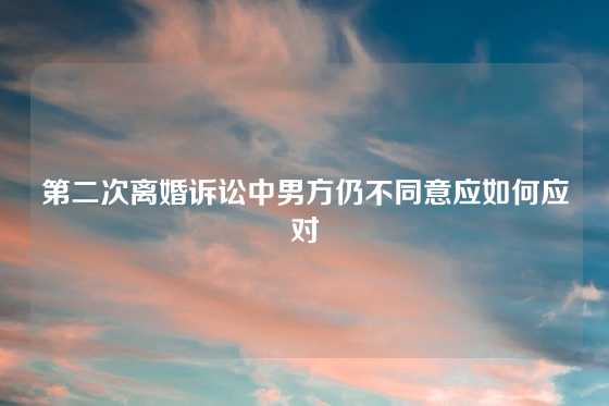 第二次离婚诉讼中男方仍不同意应如何应对