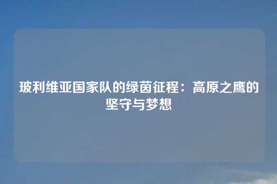 玻利维亚国家队的绿茵征程:高原之鹰的坚守与梦想