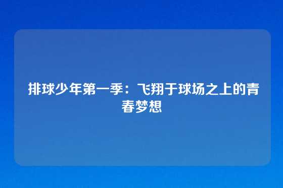  排球少年第一季：飞翔于球场之上的青春梦想