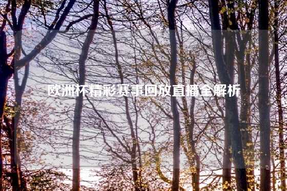 欧洲杯精彩赛事回放直播全解析