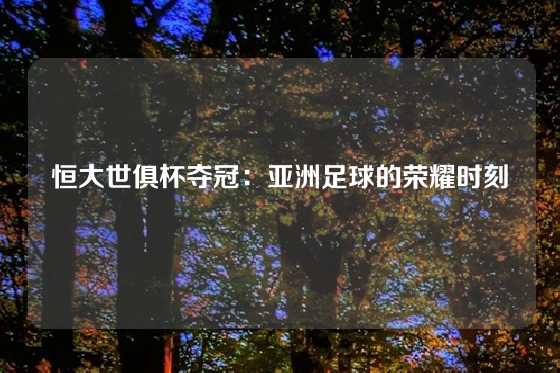 恒大世俱杯夺冠：亚洲足球的荣耀时刻