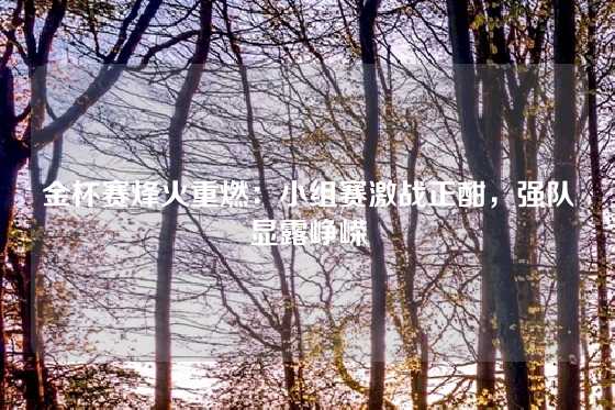 金杯赛烽火重燃：小组赛激战正酣，强队显露峥嵘