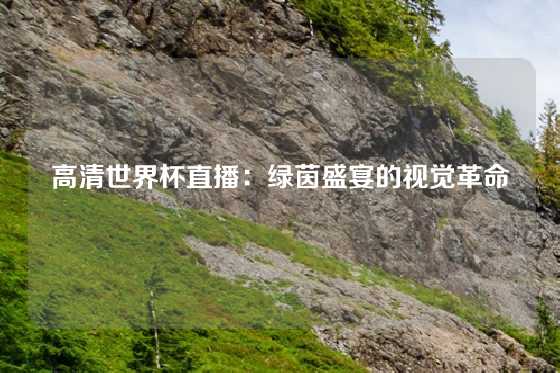 高清世界杯直播：绿茵盛宴的视觉革命