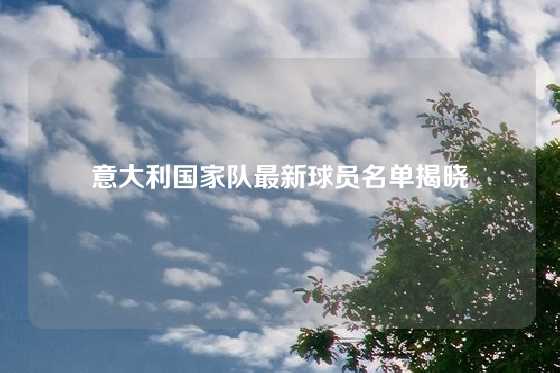 意大利国家队最新球员名单揭晓